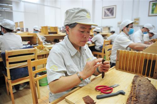 鲁产雪茄优质烟草原料基地