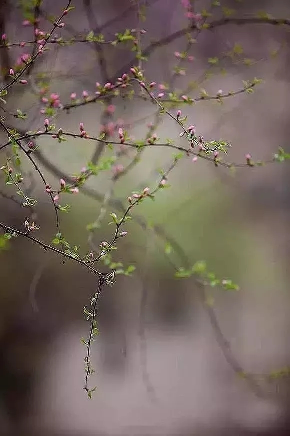 《宽窄之道》宽与窄，天地轮回，人生圆融