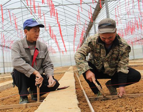 烟草专卖局图片新闻